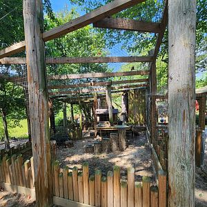 Tiger World - Eurasian Eagle Owl exhibit
