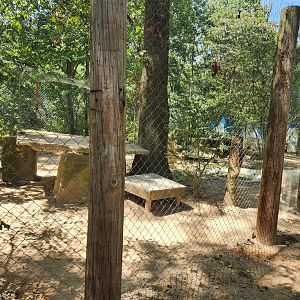 Tiger World - Wolf enclosure