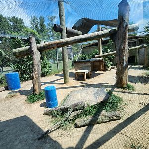 Tiger World - Leopard enclosure