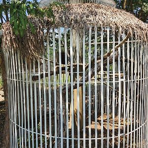 Tiger World - Sloth exhibit = worst viewing experience ever