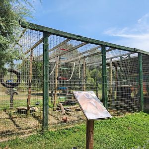 Tiger World - Gibbon exhibit