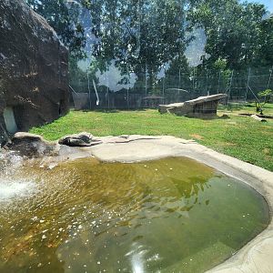 Tiger World - "Timbavati Falls" exhibit