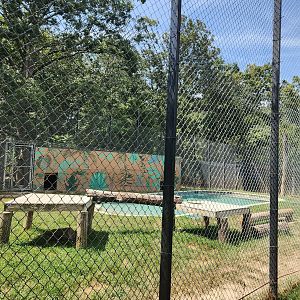 Tiger World - Tiger exhibit with large pool