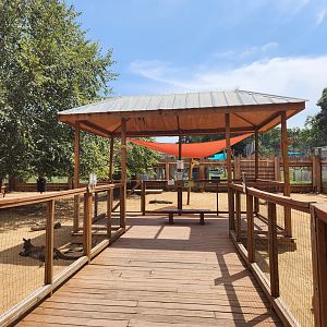 Tiger World - Kangaroo boardwalk