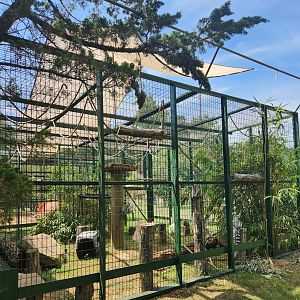 Tiger World - Ringtail Lemur enclosure