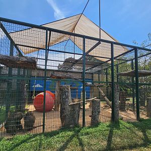 Tiger World - Olive Baboon enclosure