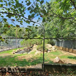 Tiger World - Syrian Brown Bear exhibit