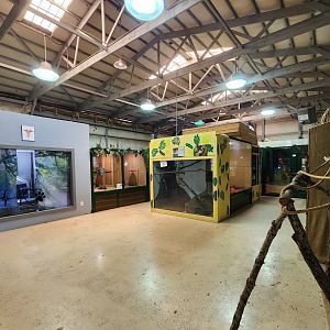 Tiger World - Reptile room