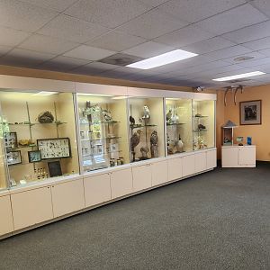 Discovery Place Nature - Taxidermy and science displays