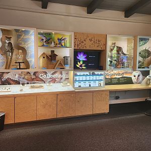 Discovery Place Nature - "Collecting & Observing" room