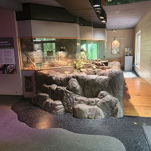 Discovery Place Nature - Creature Cavern entrance