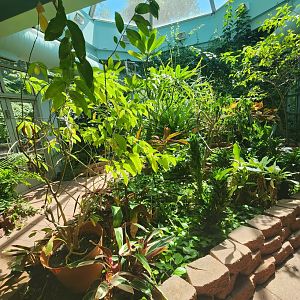 Discovery Place Nature - Butterfly garden