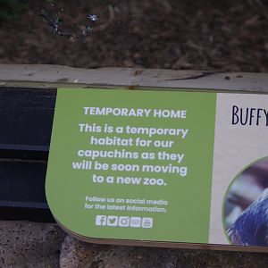 Signage on one of the old bear enclosures being used as a temporary display- 2/6/2023