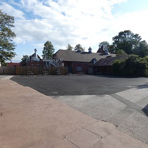 Site of former dwarf mongoose enclosure