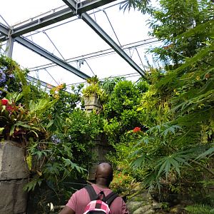 View in the butterfly hall