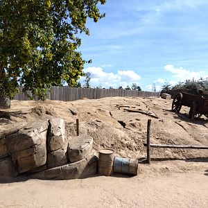 Prairiedog enclosure