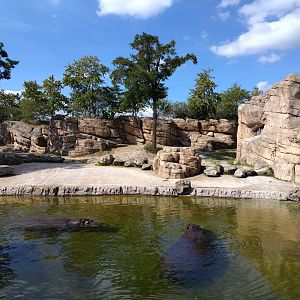 Hippo enclosure
