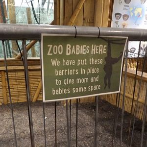 Zoo Baby Here Sign 29/08/23