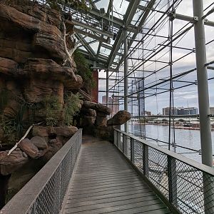 Australia: Wild Extremes