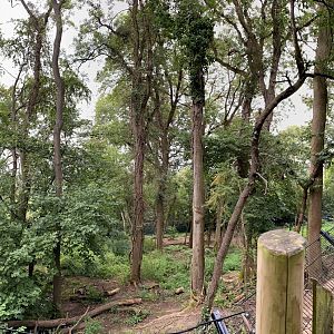Wild place / Bristol zoo project wolf and bear enclosure, right side, panoramic