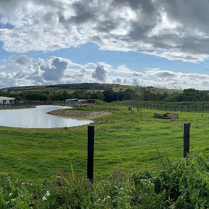 Peak Wildlife Park Polar bear enclosure, left paddock panoramic