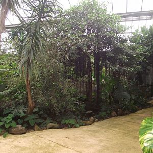 Bird House - Zooparc de Beauval - 05/2021