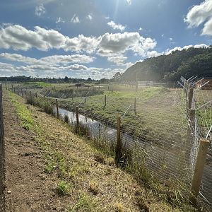 Female Cheetah Enclosure 2