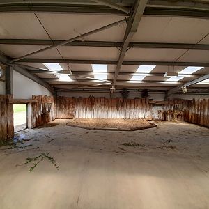 Rhino - on show indoor area