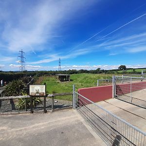 Rhino - outdoor area A