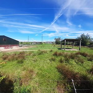 Rhino - outdoor area B