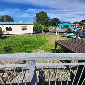 Penguin - outdoor area A