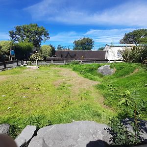 Penguin - outdoor area C