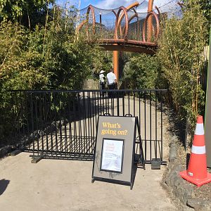 Sumatran Tiger Complex (Closed)