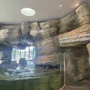 Warm Rocky Shore Tank