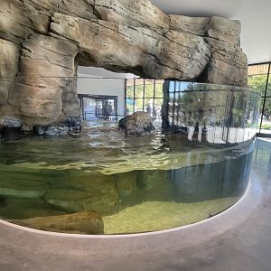 Warm Rocky Shore Tank