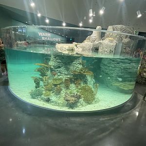 Tropical Lagoon Tank