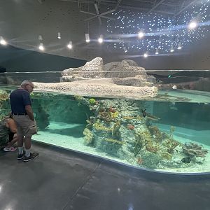 Tropical Lagoon Tank