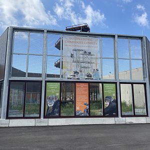 Sep. 2023 - International Chimpanzee Complex (Opening 2024)