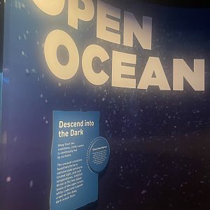 Open Ocean Artwork