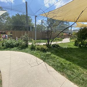 Sep. 2023 - Kangaroo Crossing - Walkthrough Exhibit