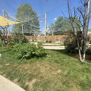 Sep. 2023 - Kangaroo Crossing - Walkthrough Exhibit