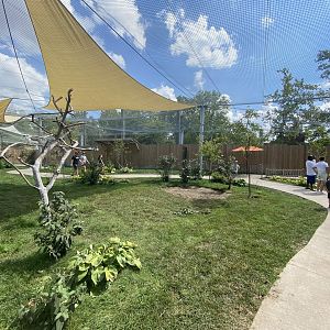 Sep. 2023 - Kangaroo Crossing - Walkthrough Exhibit