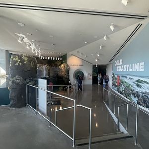 Cold Coastline General View