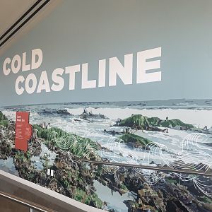 Cold Coastline Artwork