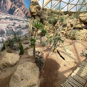 Sep. 2023 - Deserts - Mixed Species Exhibit