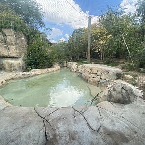 Sep. 2023 - Forests - Amur Tiger Exhibit