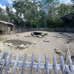 Sep. 2023 - Plains - Warthog/Cape Porcupine Exhibit