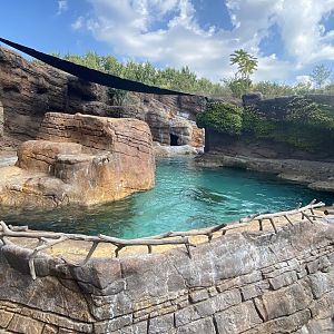 Sep. 2023 - Oceans - California Sea Lion Exhibit