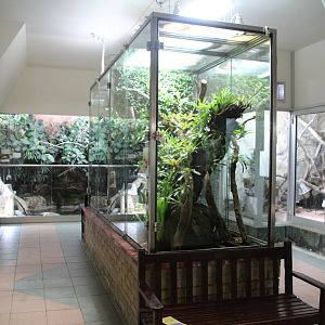 Reptile and Amphibian Building
