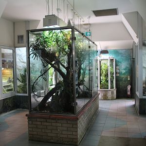 Reptile and Amphibian Building